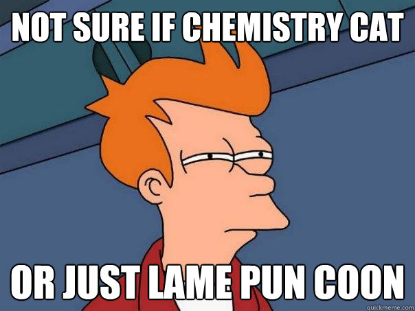 Not sure if Chemistry Cat Or just Lame Pun Coon  Futurama Fry