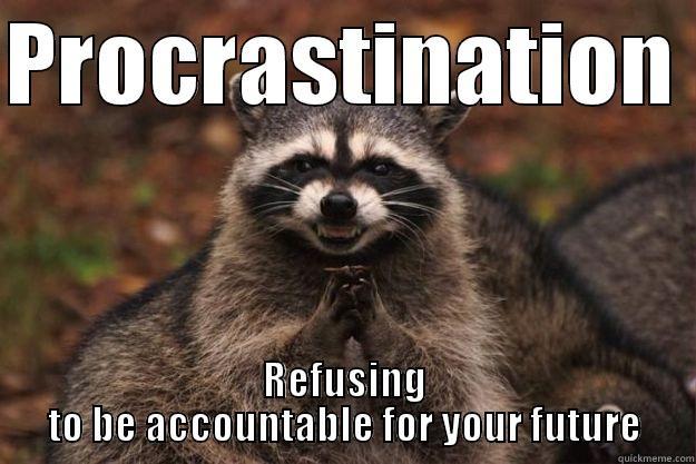 PROCRASTINATION  REFUSING TO BE ACCOUNTABLE FOR YOUR FUTURE Evil Plotting Raccoon