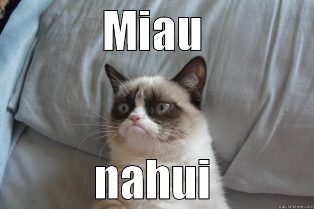 MIAU NAHUI Grumpy Cat