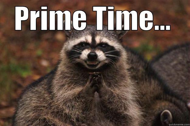 PRIME TIME...  Evil Plotting Raccoon