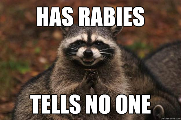 Has Rabies Tells No One - Has Rabies Tells No One  Evil Plotting Raccoon