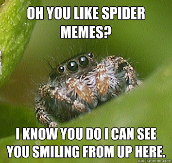 Oh you like spider memes? I know you do I can see you smiling from up here.  Misunderstood Spider