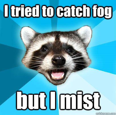 I tried to catch fog but I mist  Lame Pun Coon