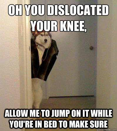 OH YOU DISLOCATED YOUR KNEE, ALLOW ME TO JUMP ON IT WHILE YOU'RE IN BED TO MAKE SURE  Scumbag dog