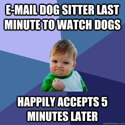 e-mail dog sitter last minute to watch dogs Happily accepts 5 minutes later  Success Kid