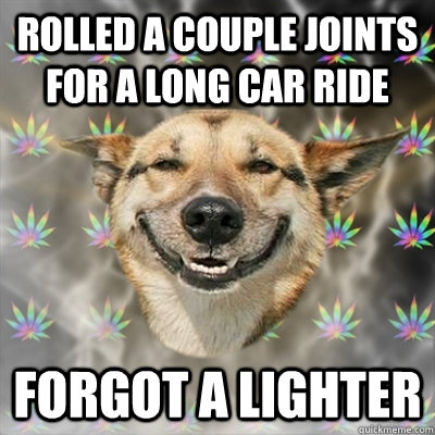 rolled a couple joints for a long car ride Forgot a lighter  Stoner Dog