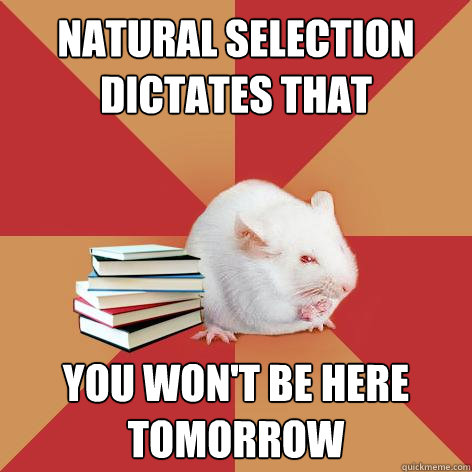 Natural Selection Dictates that You won't be here tomorrow  Science Major Mouse