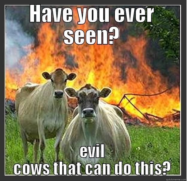 have you? - HAVE YOU EVER SEEN? EVIL COWS THAT CAN DO THIS? Evil cows