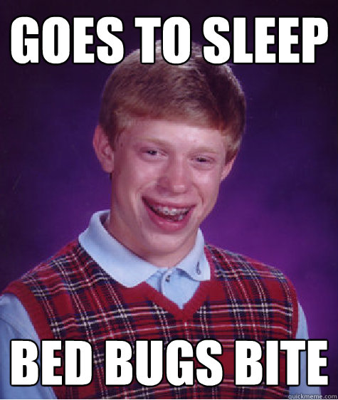 Goes to sleep Bed Bugs Bite  Bad Luck Brian