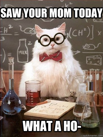 Saw your mom today What a ho-  Chemistry Cat