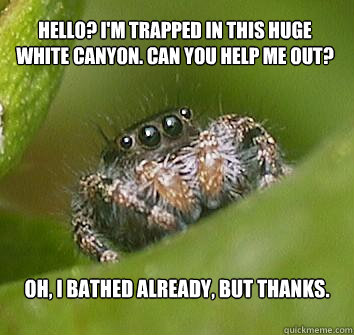 Hello? I'm trapped in this huge white canyon. Can you help me out? Oh, I bathed already, but thanks. - Hello? I'm trapped in this huge white canyon. Can you help me out? Oh, I bathed already, but thanks.  Misunderstood Spider