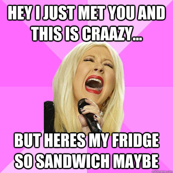 hey i just met you and this is craazy... but heres my fridge so sandwich maybe  Wrong Lyrics Christina