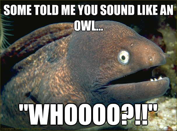 Some told me you sound like an owl... 