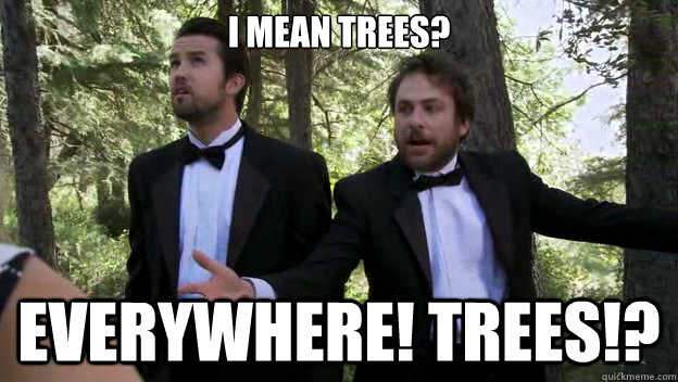I MEAN TREES? EVERYWHERE! TREES!?  