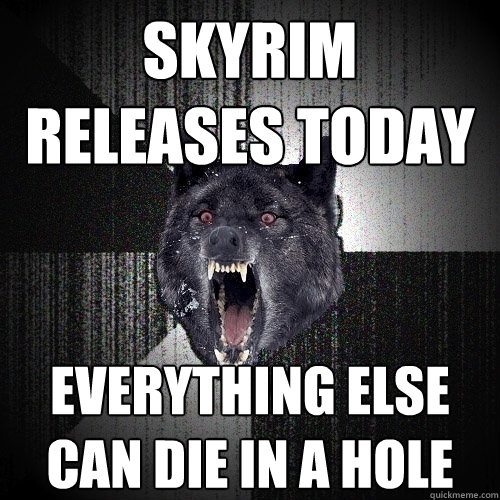 Skyrim releases today everything else can die in a hole  Insanity Wolf