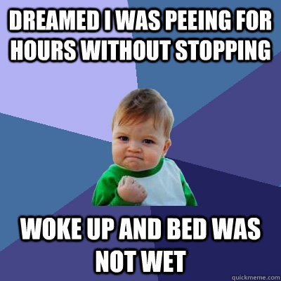 dreamed i was peeing for hours without stopping woke up and bed was not wet  Success Kid