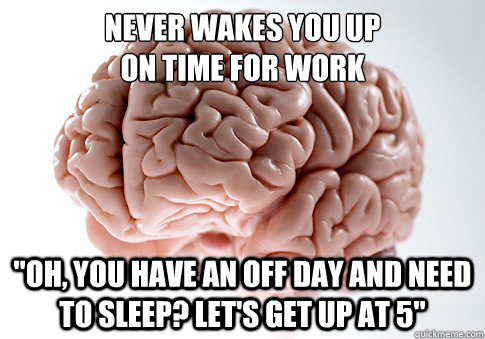 NEVER WAKES YOU UP 
ON TIME FOR WORK 