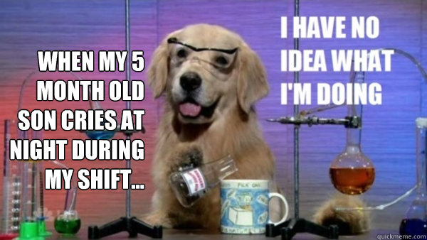 When my 5 month old son cries at night during my shift...   science dog