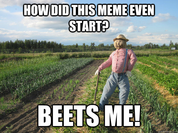 How did this meme even start? beets me!  Scarecrow