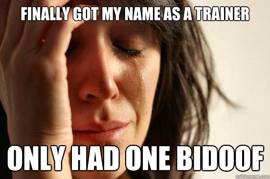 finally got my name as a trainer only had one bidoof  First World Problems