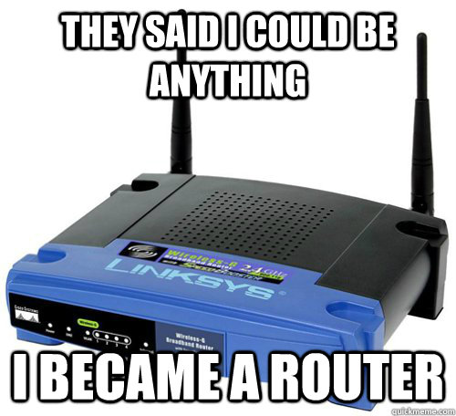 They said I could be anything I became a router - They said I could be anything I became a router  Misc
