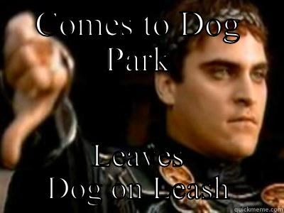 COMES TO DOG PARK LEAVES DOG ON LEASH Downvoting Roman