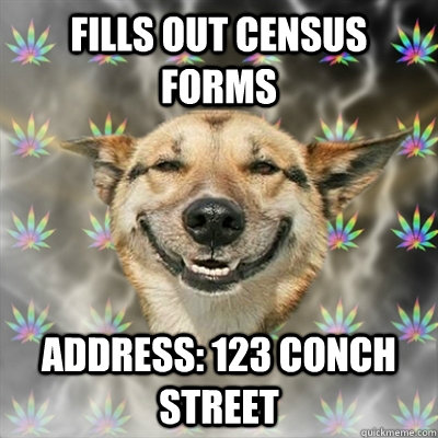 Fills out census forms Address: 123 Conch Street  Stoner Dog