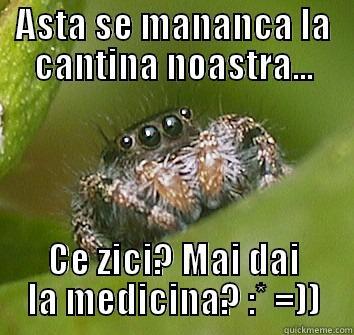 Savu et le spider - ASTA SE MANANCA LA CANTINA NOASTRA... CE ZICI? MAI DAI LA MEDICINA? :* =)) Misunderstood Spider