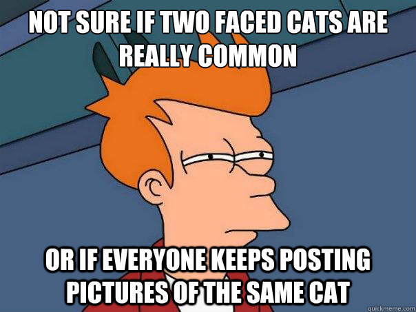 Not sure if two faced cats are really common or if everyone keeps posting pictures of the same cat  Futurama Fry