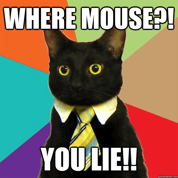 Where mouse?! you lie!!  