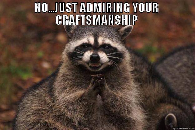 NO...JUST ADMIRING YOUR CRAFTSMANSHIP  Evil Plotting Raccoon