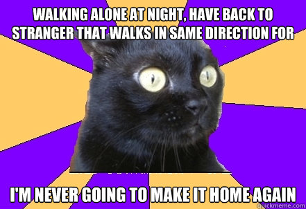 Walking alone at night, have back to stranger that walks in same direction for more than 5 seconds I'm never going to make it home again - Walking alone at night, have back to stranger that walks in same direction for more than 5 seconds I'm never going to make it home again  Anxiety Cat