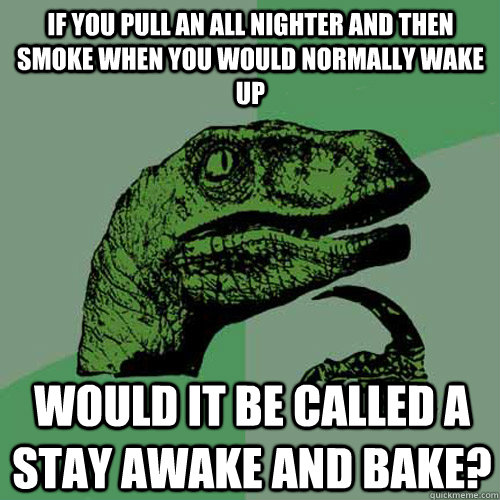 If you pull an all nighter and then smoke when you would normally wake up would it be called a stay awake and bake?  Philosoraptor