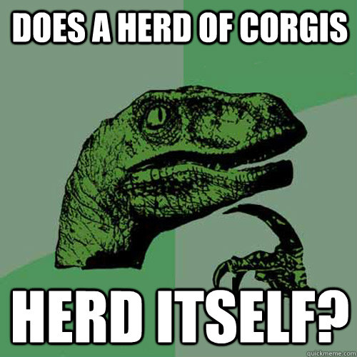 Does a herd of corgis herd itself?  Philosoraptor