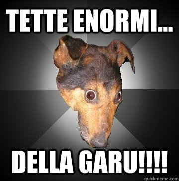 TETTE ENORMI... DELLA GARU!!!!  Depression Dog