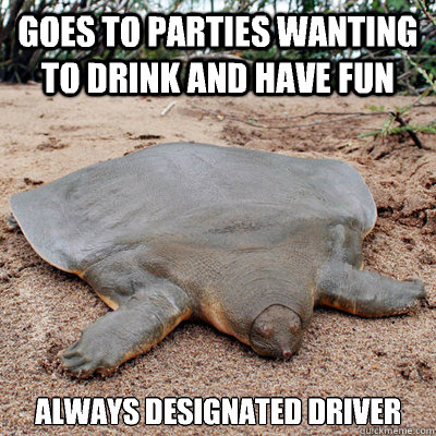 Goes to parties wanting to drink and have fun Always designated driver - Goes to parties wanting to drink and have fun Always designated driver  Doormat turtle