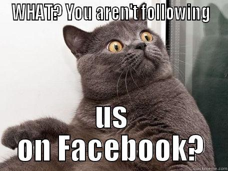 WHAT? YOU AREN'T FOLLOWING  US ON FACEBOOK? conspiracy cat