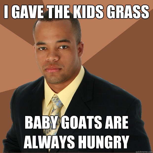 i gave the kids grass baby goats are always hungry - i gave the kids grass baby goats are always hungry  Successful Black Man