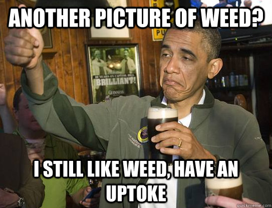 another picture of weed? I still like weed, have an uptoke  Upvoting Obama