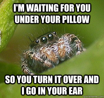 I'm waiting for you under your pillow so you turn it over and i go in your ear  Misunderstood Spider