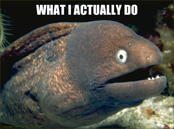 What i actually do    Bad Joke Eel