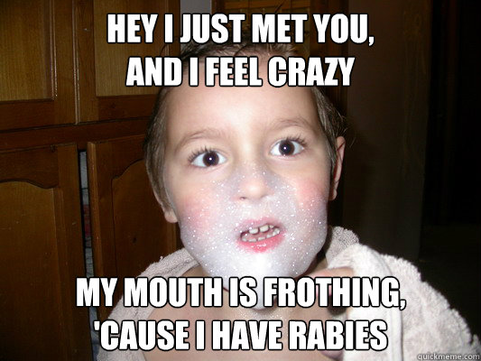 Hey I Just met you, 
and i feel crazy My mouth is frothing, 
'cause i have rabies  Call Me Rabies