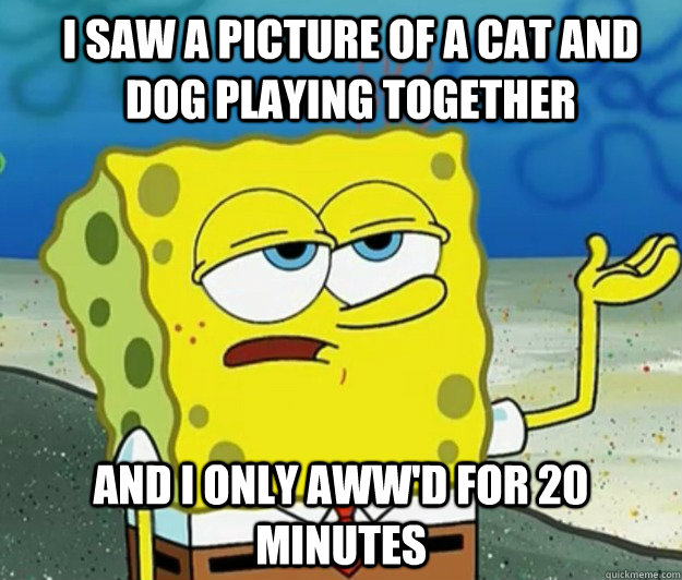 I SAW A PICTURE OF A CAT AND DOG PLAYING TOGETHER AND I ONLY AWW'D FOR 20 MINUTES  How tough am I