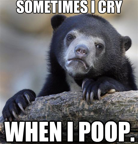 Sometimes I Cry When I Poop. - Sometimes I Cry When I Poop.  Confession Bear