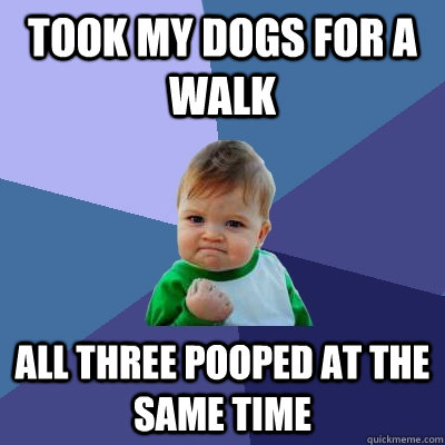 Took my dogs for a walk all three pooped at the same time  Success Kid