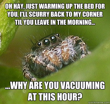 Oh hay, just warming up the bed for you, I'll scurry back to my corner til you leave in the morning... ...Why are you vacuuming at this hour?  Misunderstood Spider