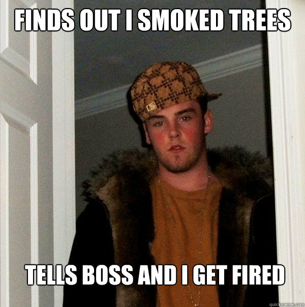 Finds out i smoked trees  tells boss and i get fired   Scumbag Steve