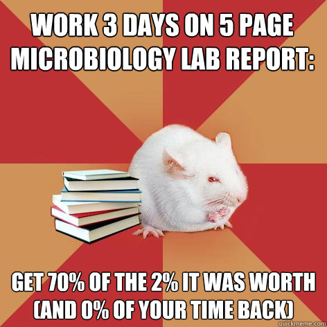 Work 3 days on 5 page microbiology lab report: Get 70% of the 2% it was worth (and 0% of your time back) - Work 3 days on 5 page microbiology lab report: Get 70% of the 2% it was worth (and 0% of your time back)  Science Major Mouse