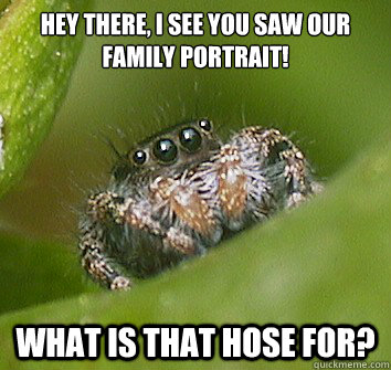 Hey there, I see you saw our family portrait! What is that hose for?  Misunderstood Spider