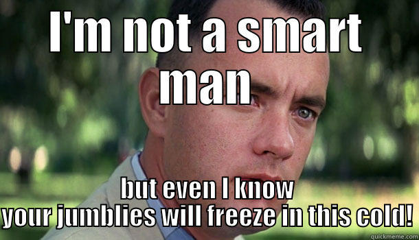 I'M NOT A SMART MAN BUT EVEN I KNOW YOUR JUMBLIES WILL FREEZE IN THIS COLD! Offensive Forrest Gump